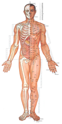 Schmerztherapie Körper, Akupunktur Facharzt Breitenbrunn,